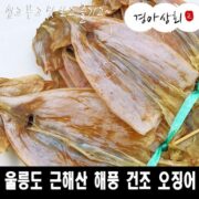 해풍에 말린 국내산 울릉도 마른 오징어 TOP 7