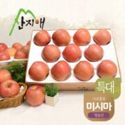 지금 먹기 좋은 산지애 사과 5.4kg   청송 미시마 세척사과 소개